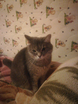 Зображення