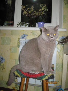 Зображення