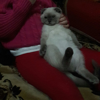 Зображення