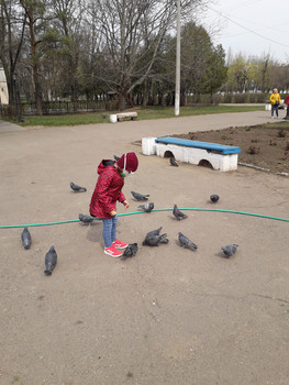 Зображення