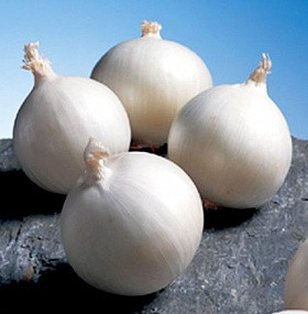 Фото №1 class=