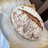 Хлібна закваска Левіто Мадре і житня хлебная ржаная пшеничная