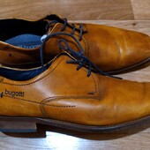чоловічі класичні туфлі bugatti