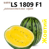 Найсолодший жовтий кавун LS 1809.,15 насінин,