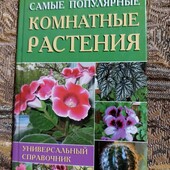 "Самые популярные комнатные растения "