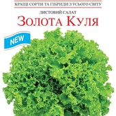 Салат листовий Золота куля. 1000 насінин!!! Смачний, стійкий до хвороб та умов вирощування.