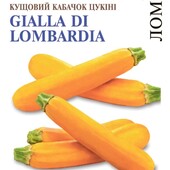 Кабачок цукіні Жовта Ломбардія.