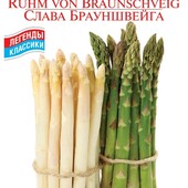 Спаржа Слава Брауншвейга. 30 насінин. Багаторічний делікатес.