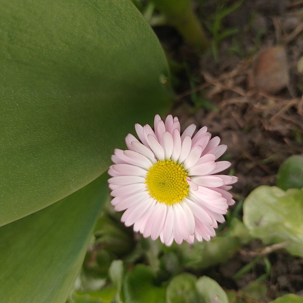 Фото №2
