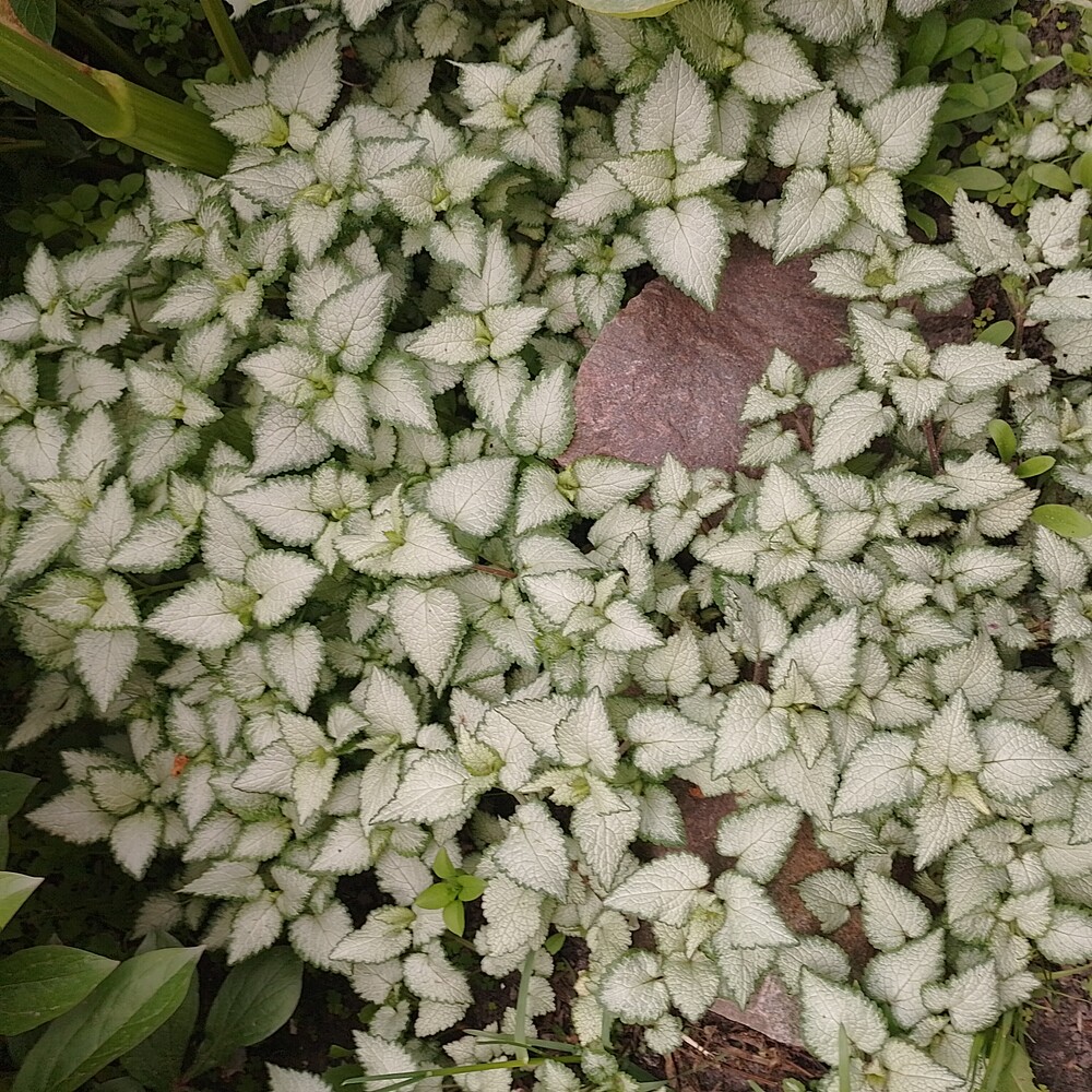 Фото №2