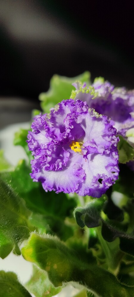 Фото №2