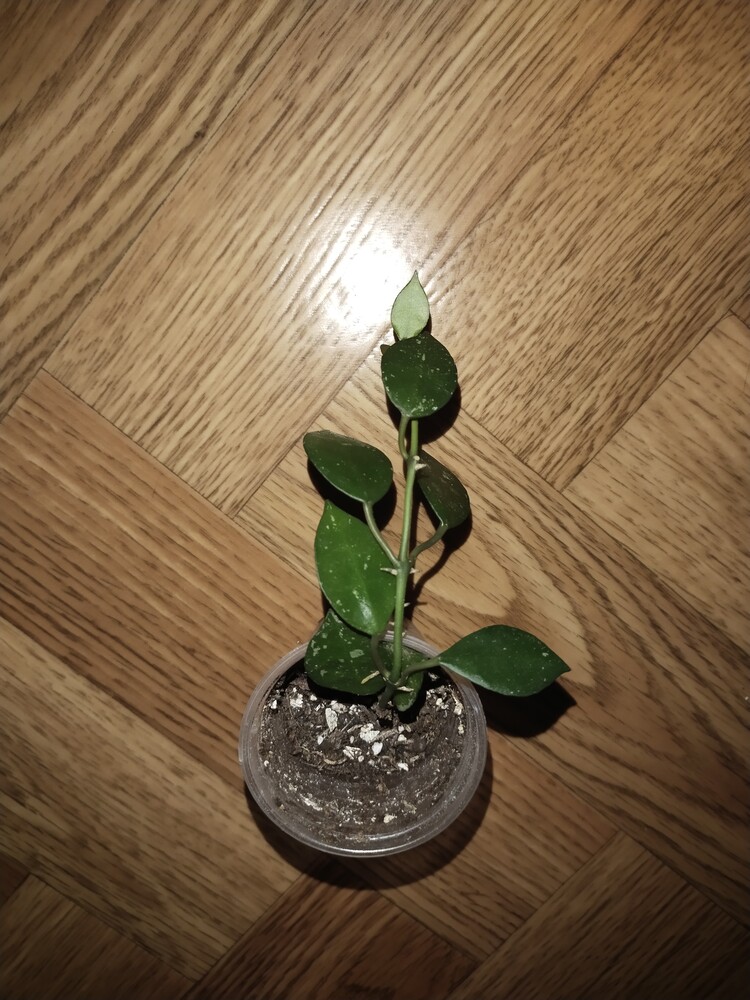 Фото №2