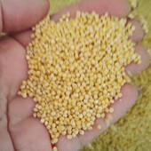 Крупи разом - пшоно 1.185 кг+ ячнева крупа 1.910