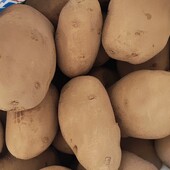 Картопля домашня лот 8 кг