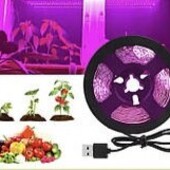 Фито лента для комнатных растений,3м