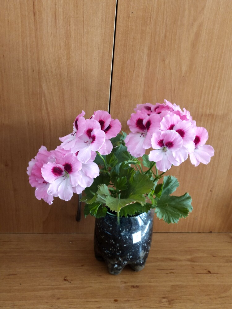 Фото №2