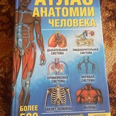 Атлас анатомии человека
