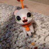 Кошеня Нusbro