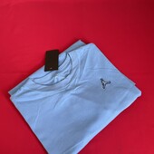 Футболка Oversized Nike Air Jordan l