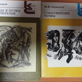 Поэтическая библиотека: сборники стихов Н. Заболоцкого, М. Лермонтова - на выбор победителя