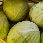 Капуста домашня лот 10 кг