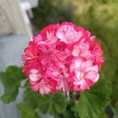 Фото №3