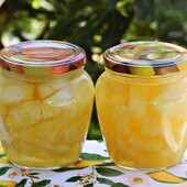 Медовая дыня
