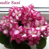 Rapcodia Sussi - діткa