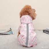 Дощовичок, супер)
