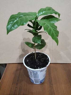 Фото №1 class=