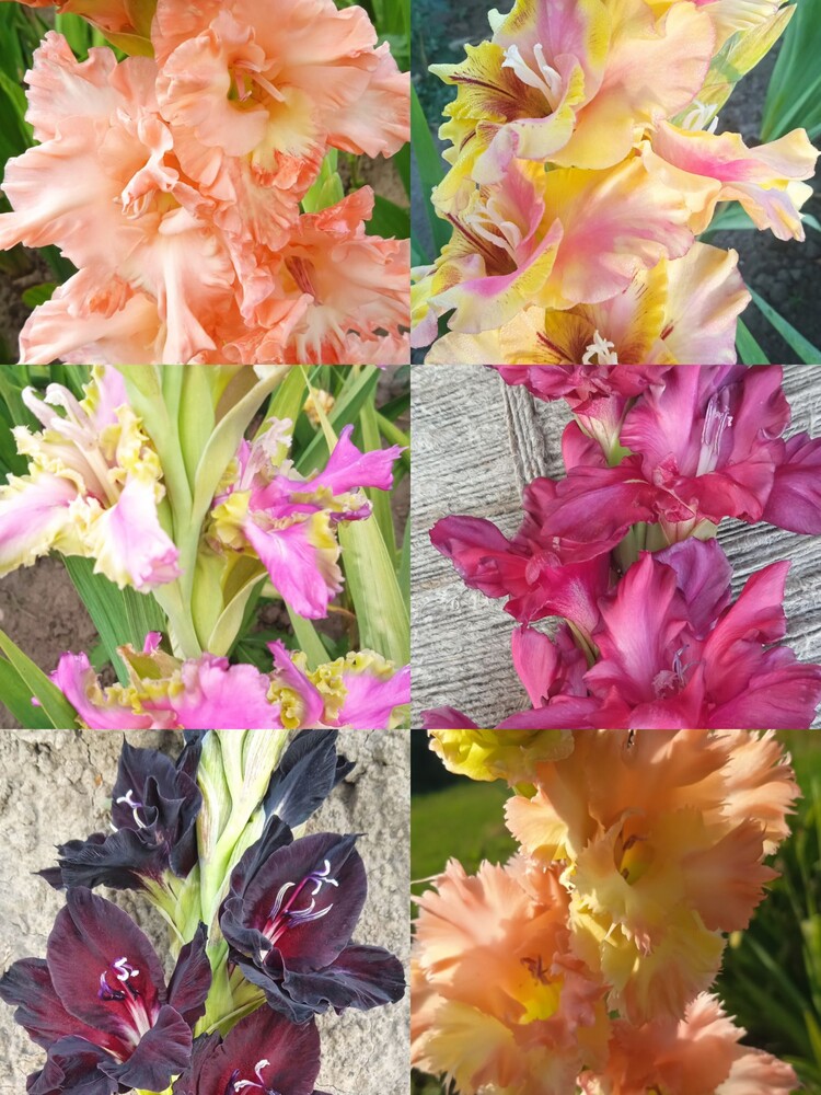 Фото №1