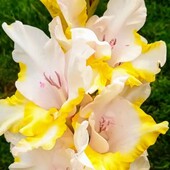 Фото №3