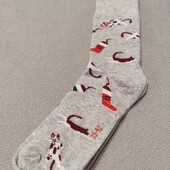 Шкарпетки 39/42