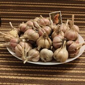 Зимовий домашній часник 1кг