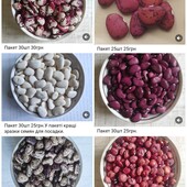 Квасоля лімська витка і кущова на посадку для розведення.