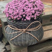 Кашпо горщик щастя