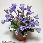 Н-Лесной Родник - дітка