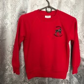 Тёплый свитшот на мальчика 5-6 лет,см.замеры