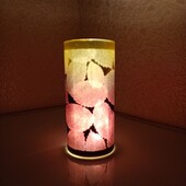 Світлодіодний світильник Livarno 9смх20 на батарейках. Нічник. Светодиодный светильник 0034