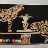 Календарик СРСР 1983