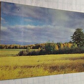 Календарик СРСР 1981