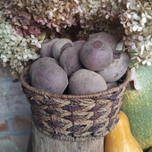 Буряк домашній 3.5 кг