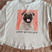 Реглан від Zara ,зріст 128