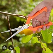 Прямой садовый секатор (21 см)