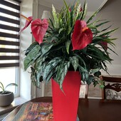 Красивый вазон в доме новый