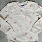 Lupilu брендовый новый реглан /свитшот на девочку рост 110/116 см