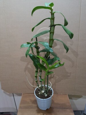 Фото №1 class=