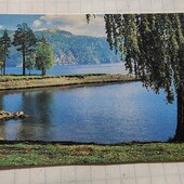 Календарик СРСР 1981