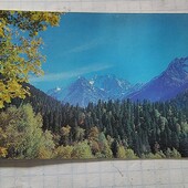 Календарик СРСР 1981