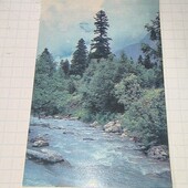 Календарик СРСР 1981